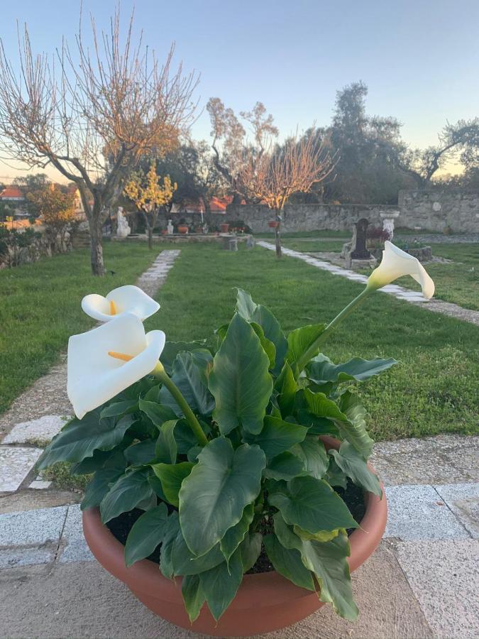 Villa Entre Encinas Moralina 외부 사진
